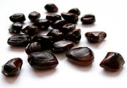 Tamarind Seed
